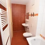 Rent 2 bedroom apartment of 56 m² in Chemnitz