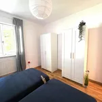 Rent 1 bedroom apartment in Trento