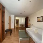 Rent 1 bedroom apartment of 50 m² in Málaga (Centro)