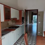 Rent 4 bedroom apartment of 122 m² in Cuneo