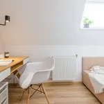 Rent a room in Lodz