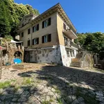 Affitto 5 camera appartamento di 178 m² in Rocca di Papa