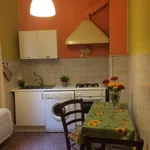 Rent 2 bedroom apartment of 40 m² in Florence