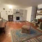 Rent 2 bedroom apartment of 61 m² in Campo Smith