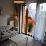 Rent 1 bedroom apartment of 34 m² in Olomouc