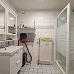 Rent 1 bedroom apartment in Rotselaar