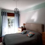 Rent 1 bedroom apartment in lisbon