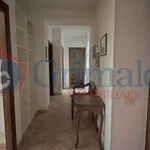 Rent 2 bedroom apartment of 40 m² in Perugia