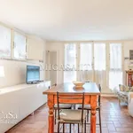 Rent 3 bedroom apartment of 65 m² in Pisa