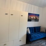 Miete 1 Schlafzimmer wohnung von 40 m² in Chemnitz