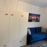 Rent 1 bedroom apartment of 40 m² in Chemnitz