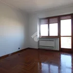 Rent 5 bedroom apartment of 150 m² in Torino