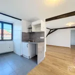 Rent 2 bedroom apartment of 48 m² in STRASBOURG