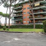 Rent 1 bedroom apartment of 148 m² in ROMA