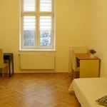 Rent 1 bedroom apartment of 45 m² in Krakow