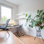 Miete 1 Schlafzimmer wohnung von 30 m² in berlin