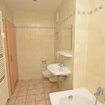 Rent 2 bedroom apartment of 39 m² in Chemnitz