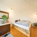 Miete 3 Schlafzimmer wohnung von 65 m² in Potsdam