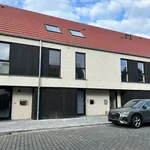 Rent 4 bedroom house in Oostende