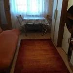 Rent 1 bedroom apartment of 21 m² in Timișoara