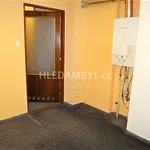 Rent 3 bedroom apartment of 64 m² in Capital City of Prague