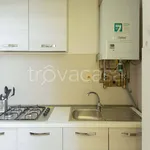 Rent 4 bedroom apartment of 50 m² in Firenze