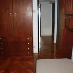 Rent 4 bedroom apartment in Coimbra