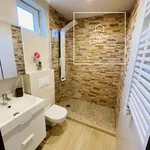 Rent 3 bedroom apartment of 87 m² in Budapest