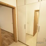 Rent 1 bedroom apartment of 38 m² in Capital City of Prague