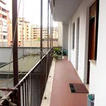 Rent 1 bedroom apartment of 15 m² in Novara