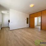 Rent 2 bedroom apartment in Brno