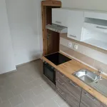 Rent 1 bedroom apartment in Liberec