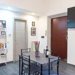 Rent 1 bedroom apartment in rome