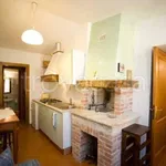 Rent 2 bedroom apartment of 40 m² in Siena