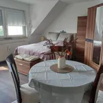 Rent 1 bedroom apartment of 50 m² in Leipzig