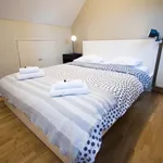 Rent 1 bedroom apartment in brussels