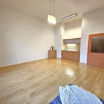 Rent 1 bedroom apartment of 40 m² in Kralupy nad Vltavou