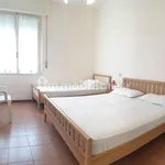 Rent 2 bedroom apartment of 54 m² in Pisa