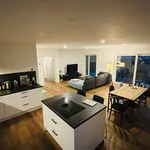 Miete 4 Schlafzimmer haus von 12664 m² in Hanau