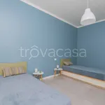 Rent 3 bedroom apartment of 80 m² in Torino