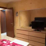 Rent 3 bedroom apartment of 60 m² in Roma