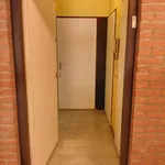 Rent 1 bedroom apartment in Brussels