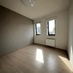 Rent 2 bedroom apartment in Minderhout