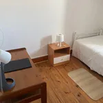 Rent 5 bedroom apartment in Coimbra