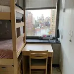 Rent 1 bedroom apartment in New York