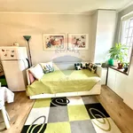 Rent 1 bedroom apartment of 30 m² in Biella