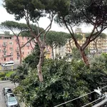 Rent 2 bedroom apartment of 70 m² in Napoli