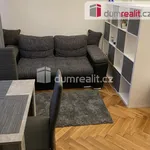 Rent 1 bedroom apartment of 29 m² in Ústí nad Labem