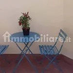 Rent 2 bedroom apartment of 60 m² in Livorno