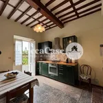 Rent 4 bedroom apartment of 100 m² in Lucca